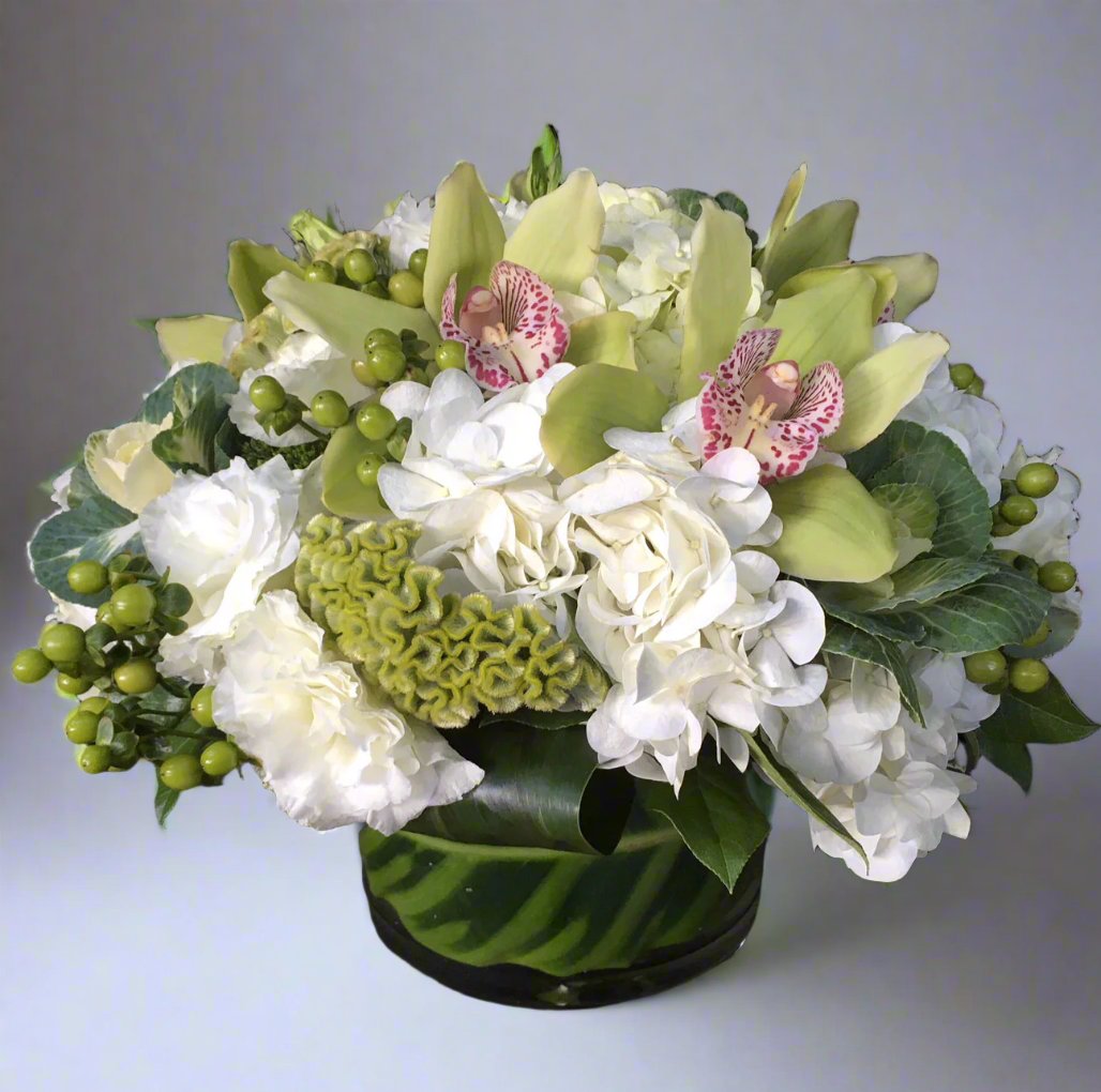 MV103 - Elegant Greens