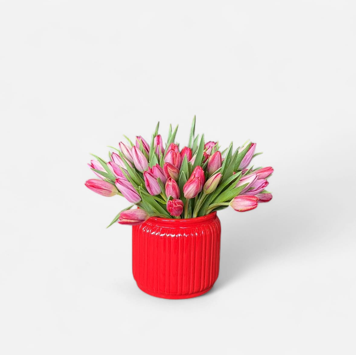 MV 149- Season of Love