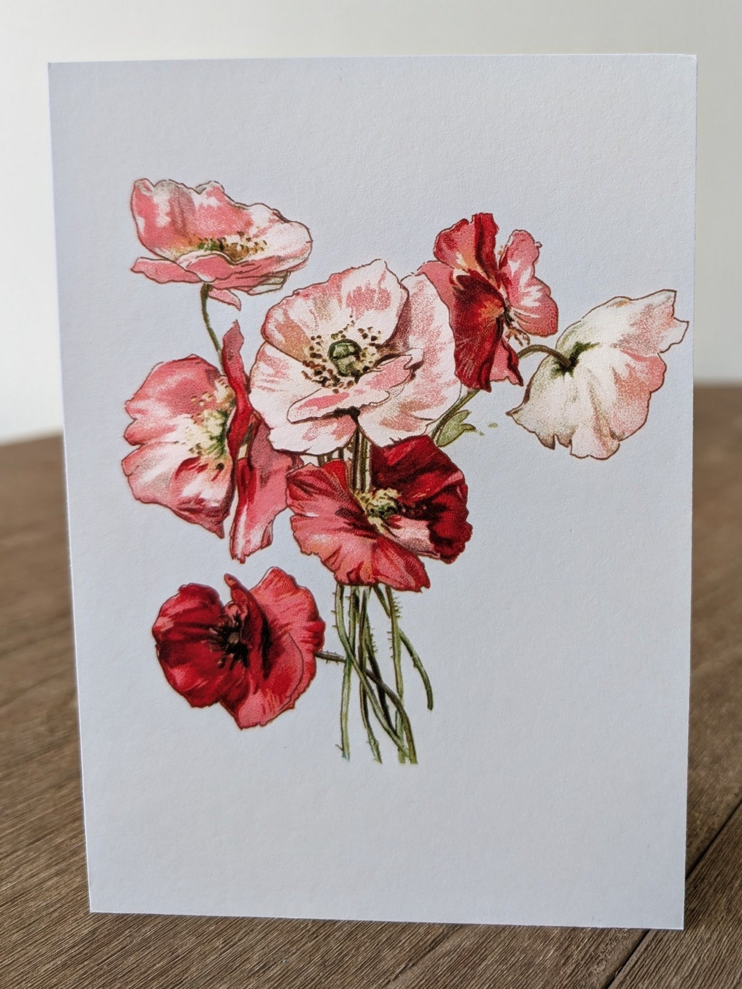 Blush Poppy Floral Card