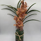 MV126 - Cymbidium Vase