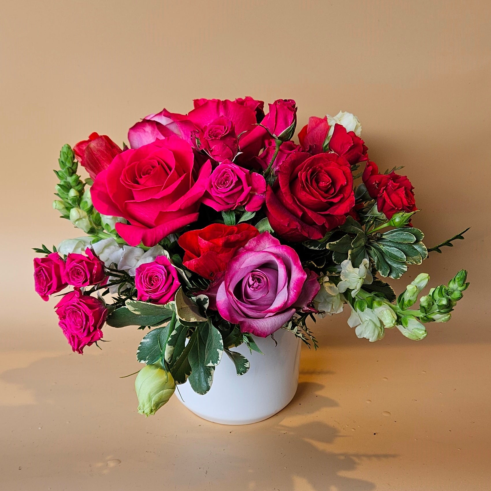 ☆Roses～　 Candy X-Pression Dutch Florist Shrub Rose – Highgarden Roses