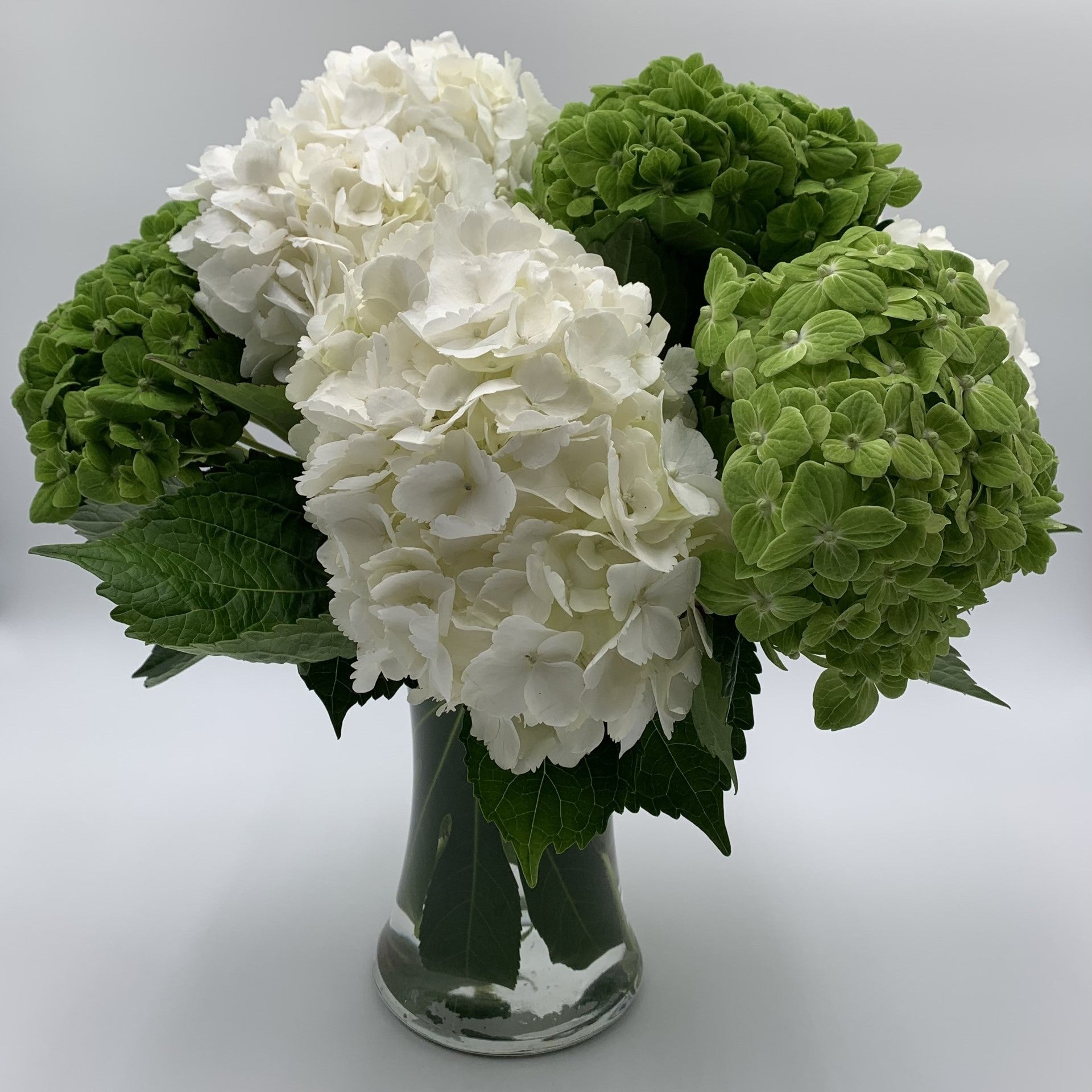 Hydrangea4937　0602 MV51 - The Hydrangea Vase – Mill Valley Flowers
