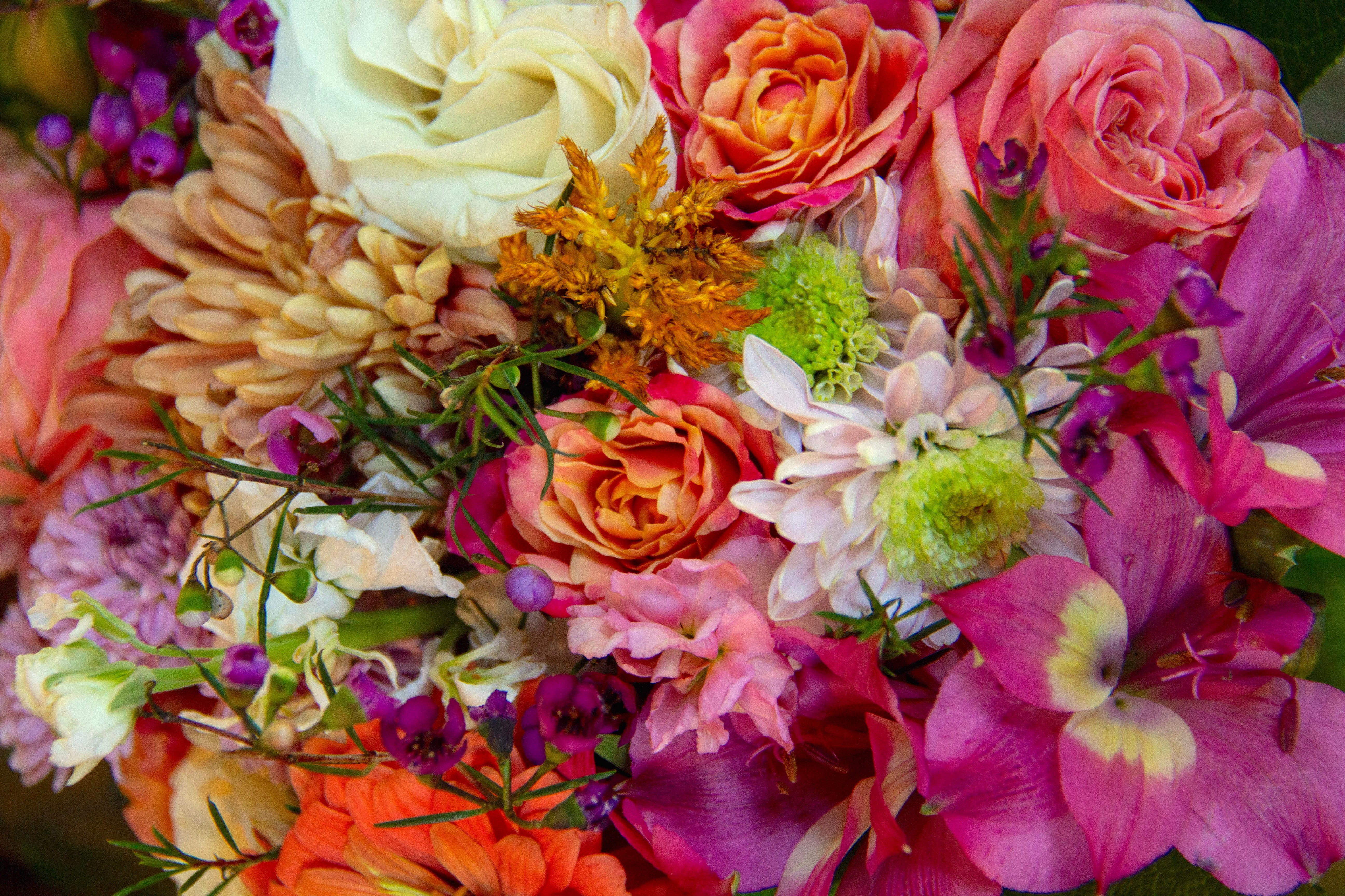 Jane Marple Beautiful Bouquet 2点セット ONLINE SHOP】4/12 NEW RELEASE | Jane Marple Official Web