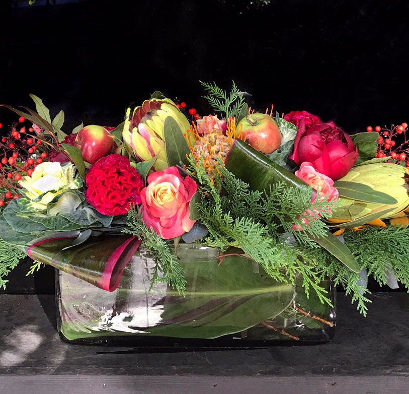 MV102 -  Holiday Long n Low